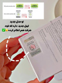 چسب بینی کاسهای لانبنا